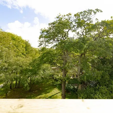 Deja Blue By Cohost Palanga