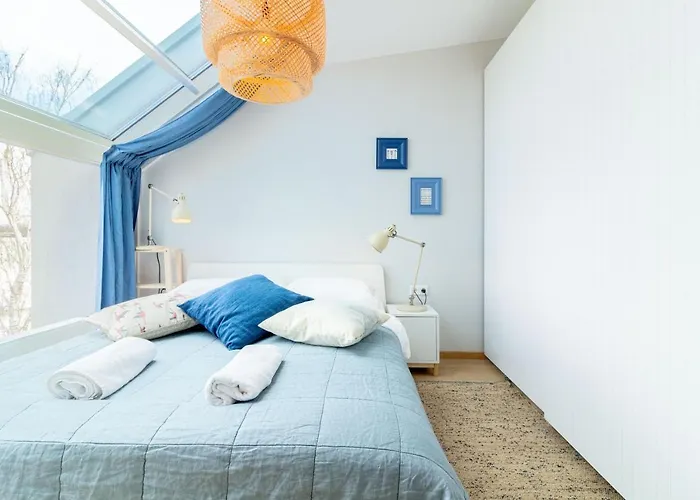 Deja Blue By Cohost * Паланга