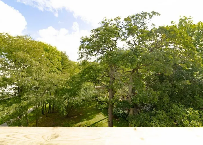 Deja Blue By Cohost Palanga